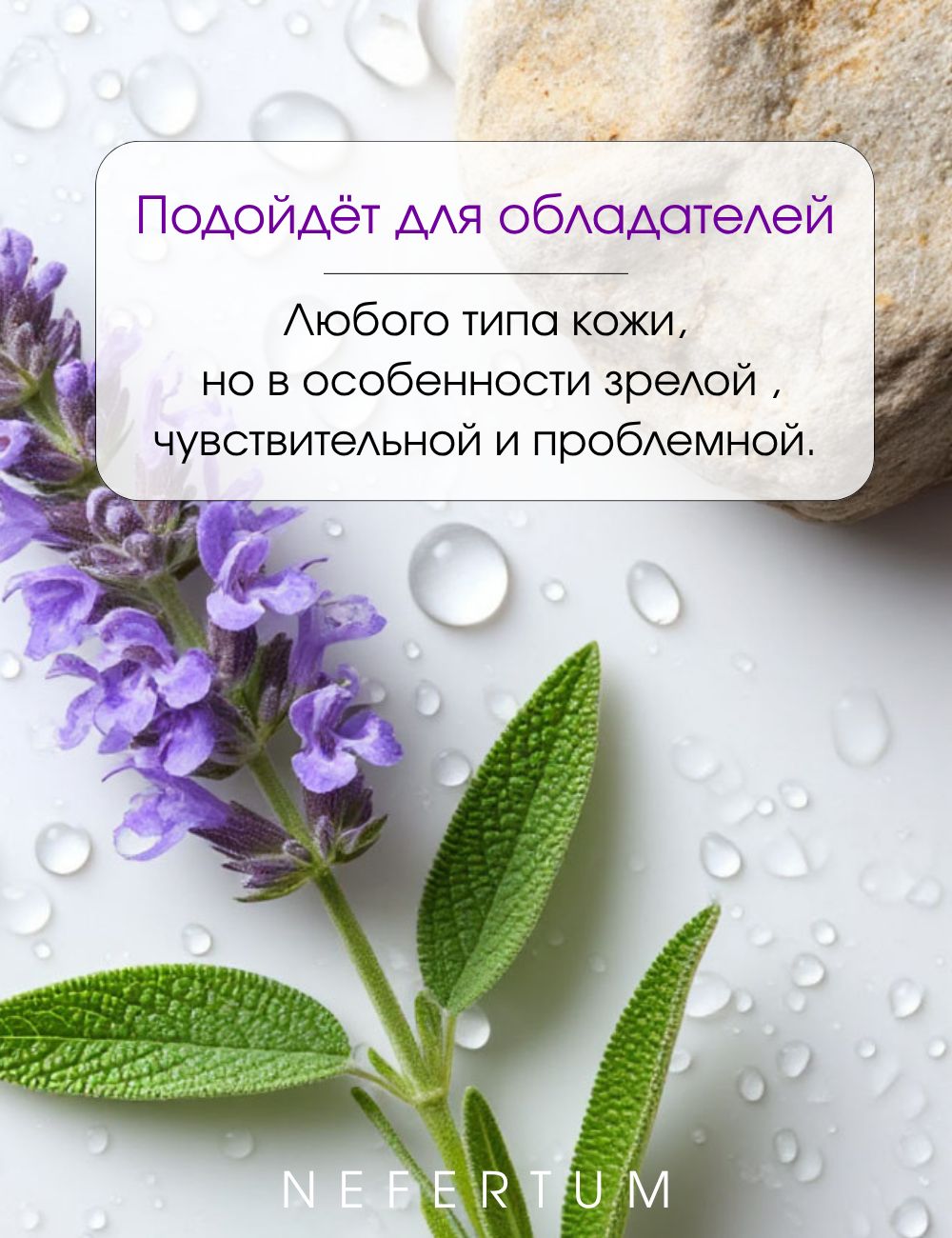 Ozon Nefertum / M444 V6 photo 9
