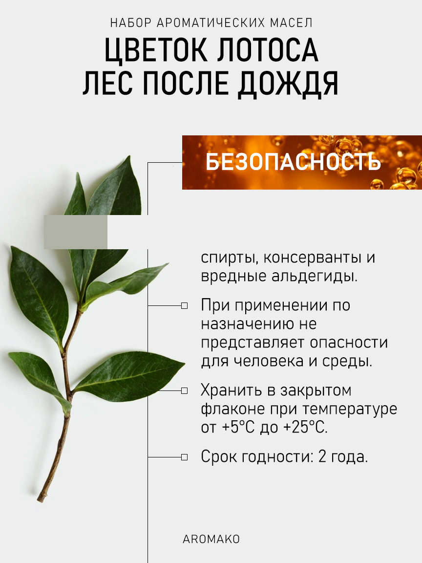 Подарочный набор аромамасел «Лес После Дождя», 2 × 10 мл