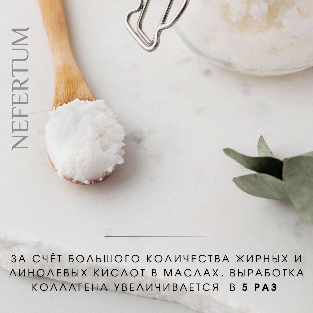 Ozon Nefertum / M444 V6 photo 7