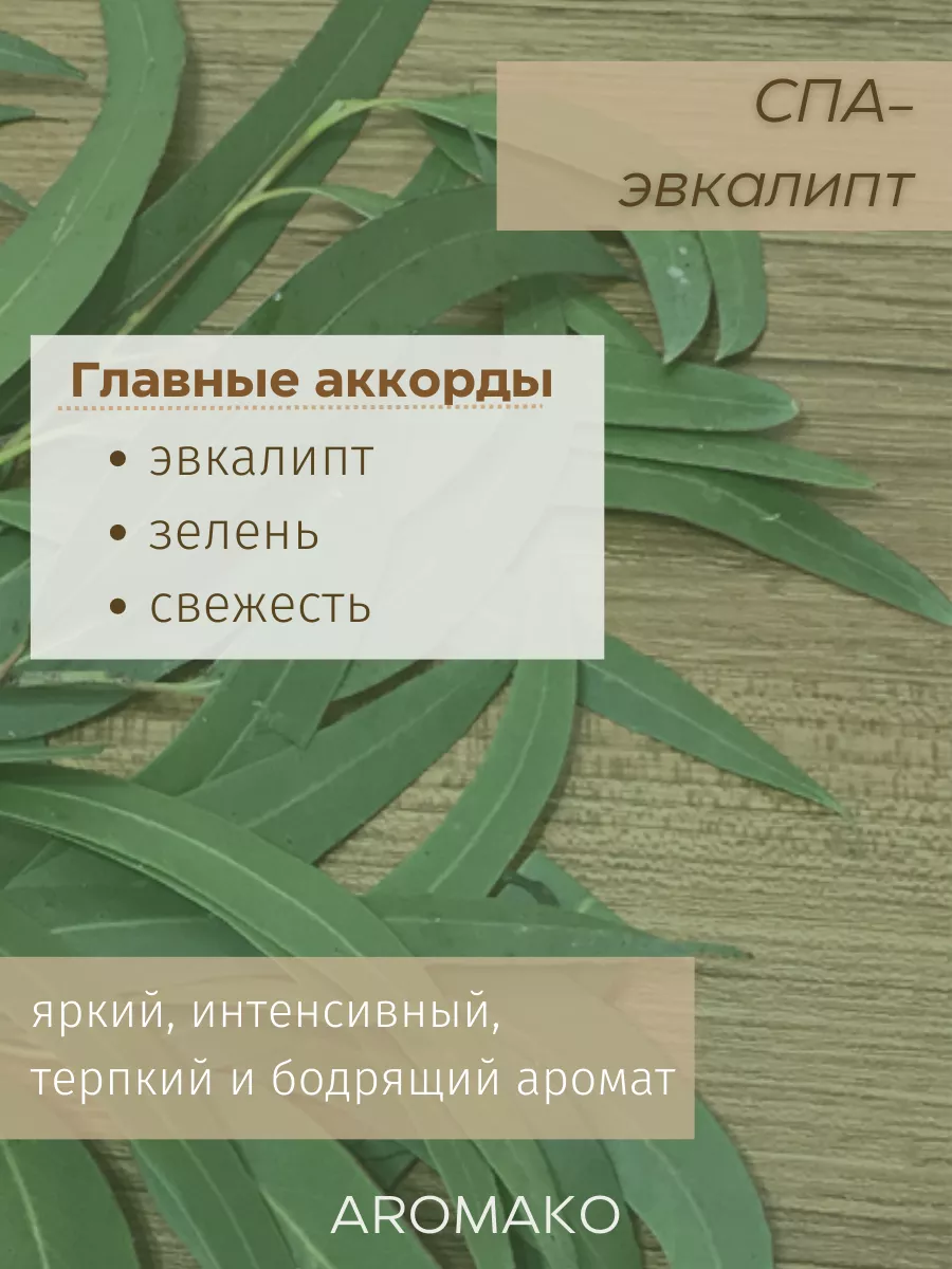 Масляные духи — Эвкалипт, 3 мл
